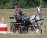 broodmare Pamela (Great Poland (wielkopolska), 2009, from Herkules)