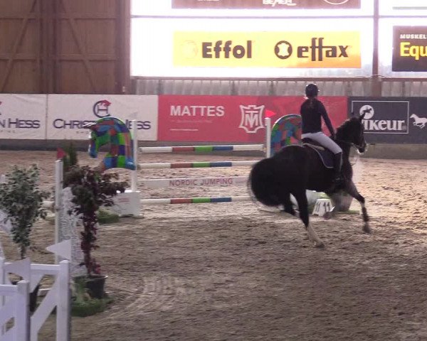 10. Nordic Jumping event Negernbötel 2023