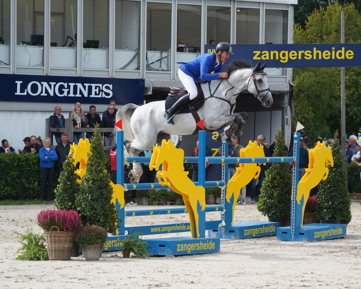 jumper Schabernack 35 (Hanoverian, 2016, from Cornet Obolensky)