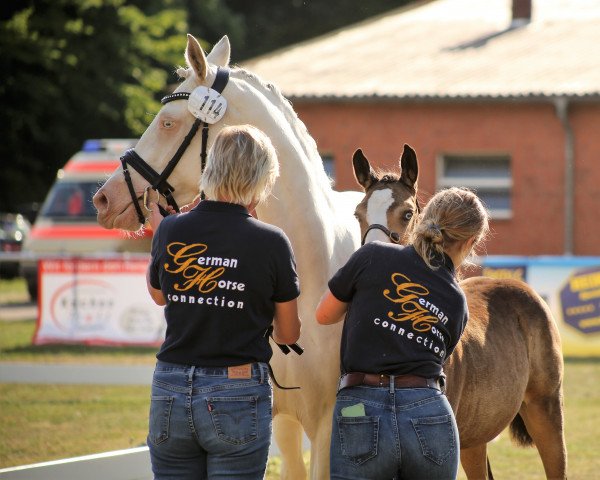 jumper Rieemaars Superleggera (German Riding Pony, 2022, from Vincent)