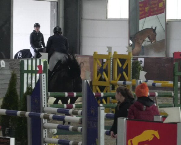 Reitturnier Karlsfeld/Obb. 2023