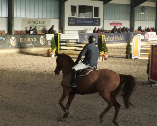 Reitturnier Karlsfeld/Obb. 2023