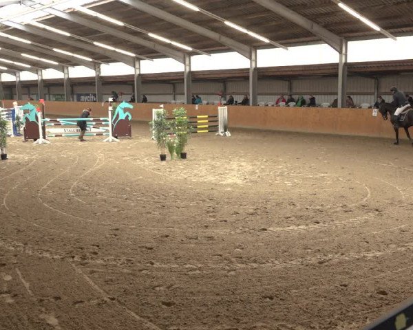 Reitturnier Schlieckau 2023
