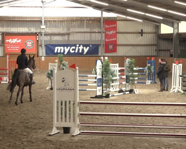 Reitturnier Schlieckau 2023