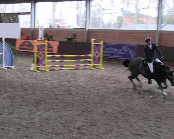 Reitturnier Greven 2023