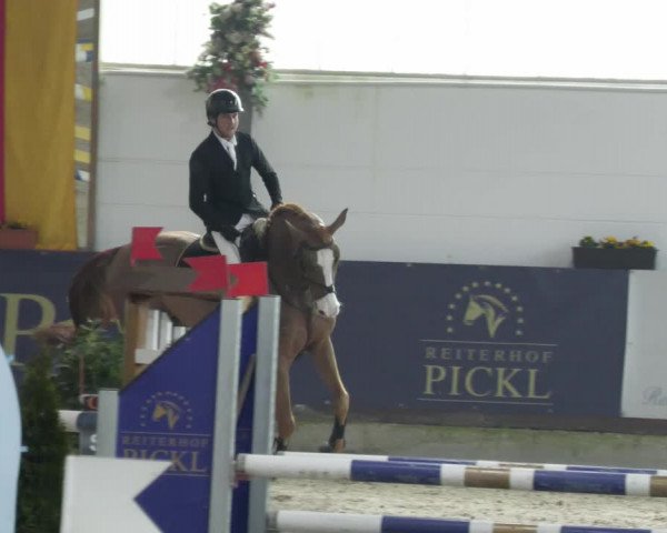 Reitturnier Karlsfeld/Obb. 2023
