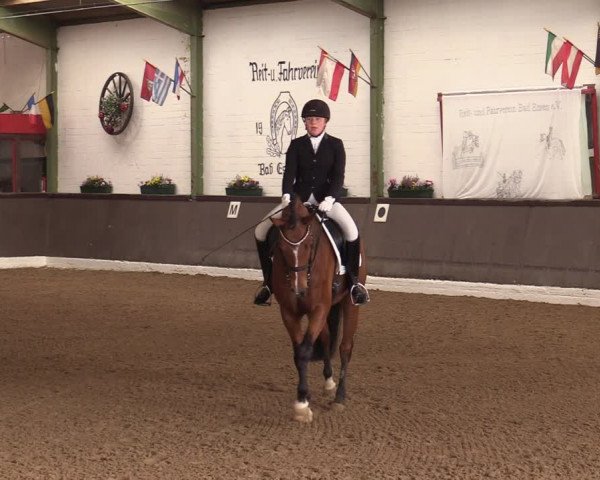 Reitturnier Bad Essen 2021