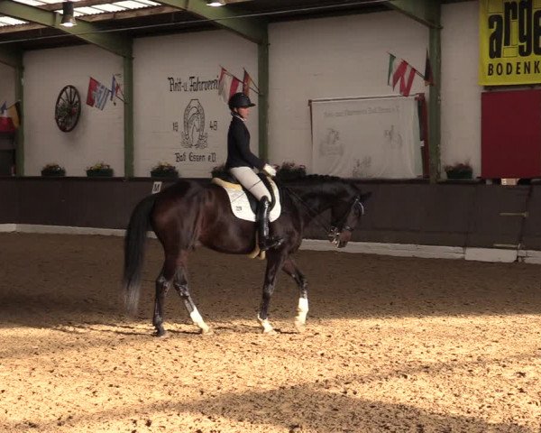 Reitturnier Bad Essen 2021