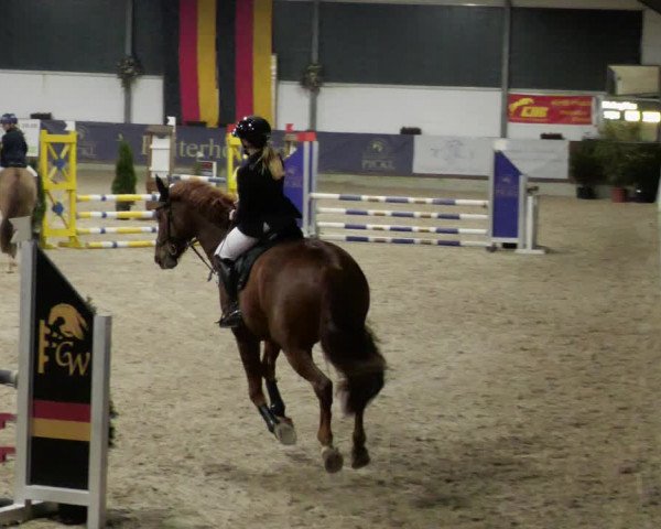 Reitturnier Karlsfeld/Obb. 2023