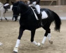 dressage horse Dream Boy X (German Riding Pony, 2015, from D-Day AT)