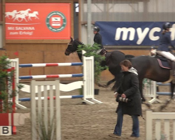 Reitturnier Schlieckau 2023