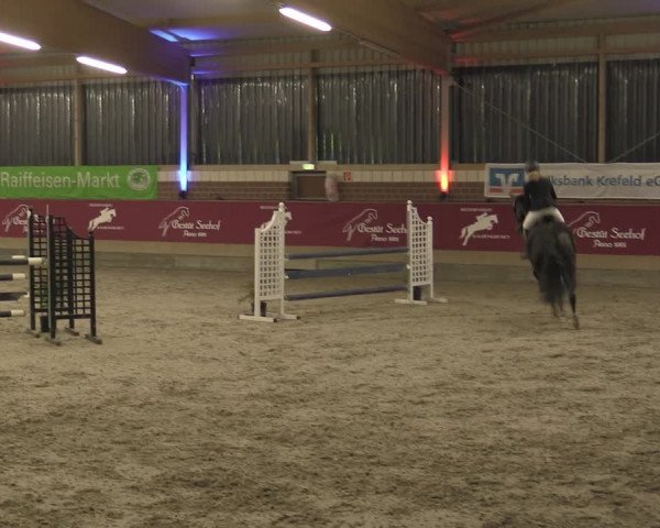 Reitturnier Kaldenkirchen - Gestüt Seehof 2023