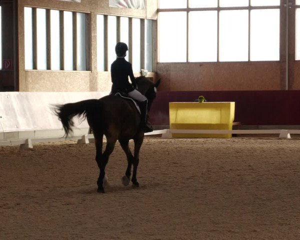 Reitturnier Balingen 2023
