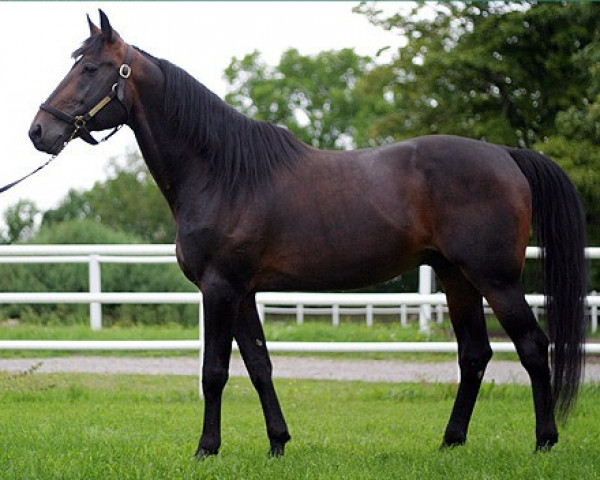 stallion Meadowbranch Lucky N2601 (US) (American Trotter, 1994, from Speedy Crown 9498H (US))