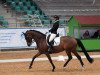 dressage horse Furstin Feenstaub (Hanoverian, 2012, from Fürstenball)