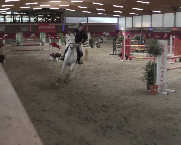 Reitturnier Kaldenkirchen - Gestüt Seehof 2023