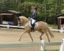 dressage horse Nashville Nugget HW (German Riding Pony, 2012, from Don Davidoff 5)