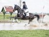 jumper Deep Connection K (Hanoverian, 2017, from Devonport)