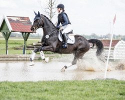 jumper Deep Connection K (Hanoverian, 2017, from Devonport)