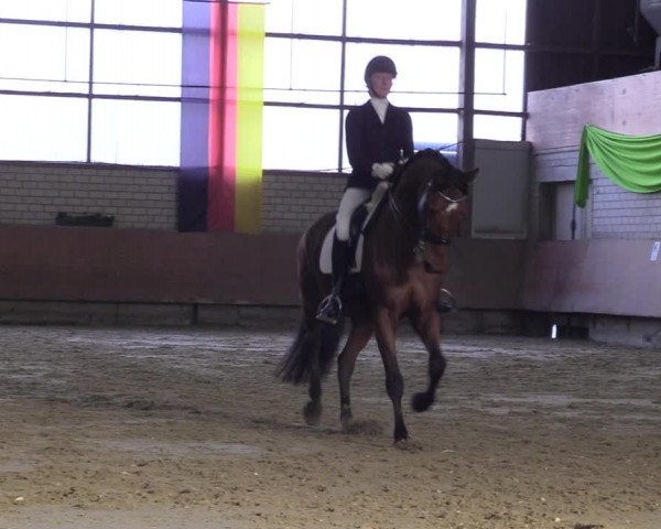 Reitturnier Hellefeld 2023