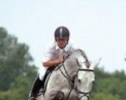 stallion Copito (Holsteiner, 2000, from Carthago)