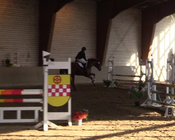 Reitturnier Kamen 2023