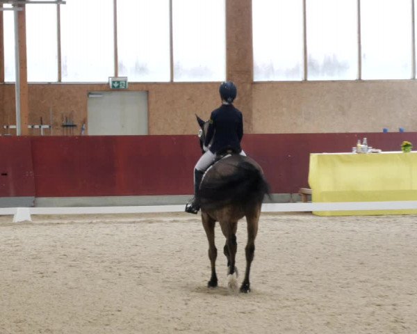 Reitturnier Balingen 2023