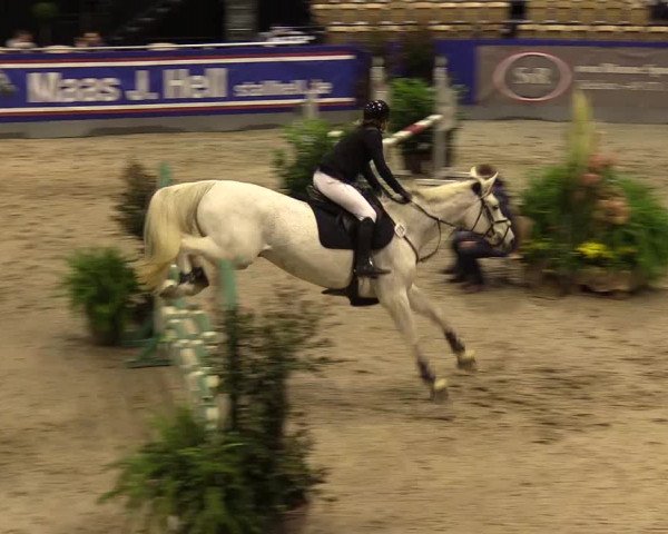 FEI Reitturnier Neumünster (GER) 2021