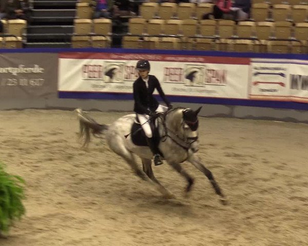 FEI Reitturnier Neumünster (GER) 2021