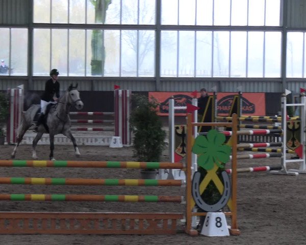 Reitturnier Greven 2023