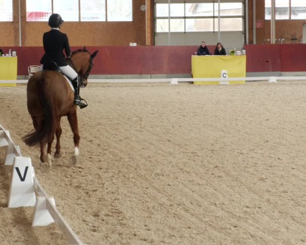 Reitturnier Balingen 2023