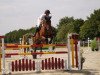 jumper Lex Caterhan (Hanoverian, 2008, from Lex Lugar)