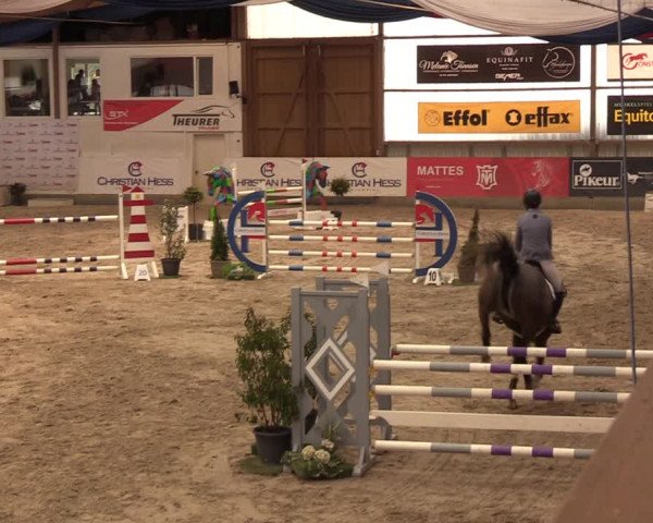 11. Nordic Jumping event Negernbötel 2023