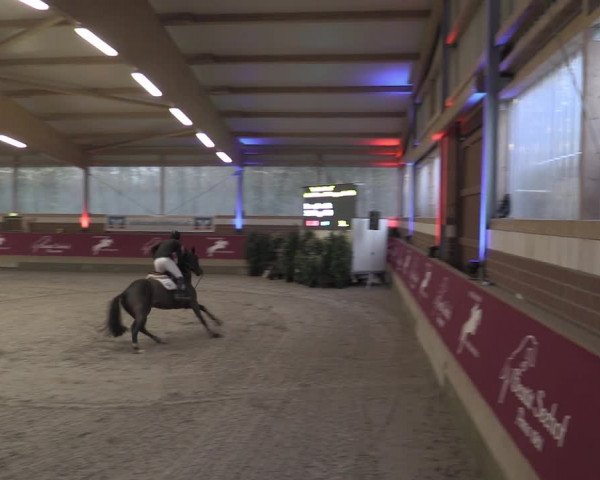 Reitturnier Kaldenkirchen - Gestüt Seehof 2023
