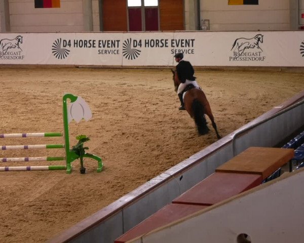 Reitturnier Prussendorf 2023