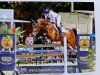 jumper Lakita 13 (Hanoverian, 2016, from Perigueux)