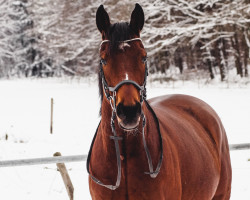 horse A winning Warrior xx (Thoroughbred, 2018, from Tai Chi xx)