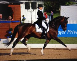 dressage horse Allegra (Oldenburg, 2006, from Farewell III)