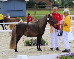 Zuchtstute Jessica vom Kleefeld (Deutsches Classic Pony, 2005, von Jasper)