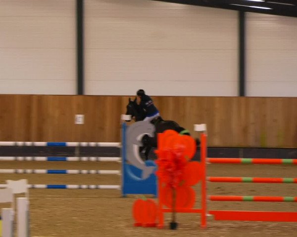 Reitturnier Zwickau 2023