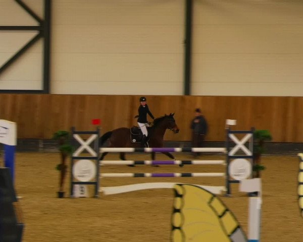 Reitturnier Zwickau 2023