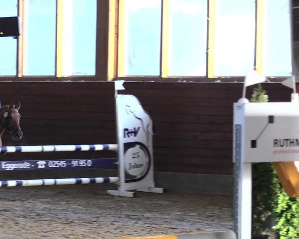Reitturnier Coesfeld/Lette 2021