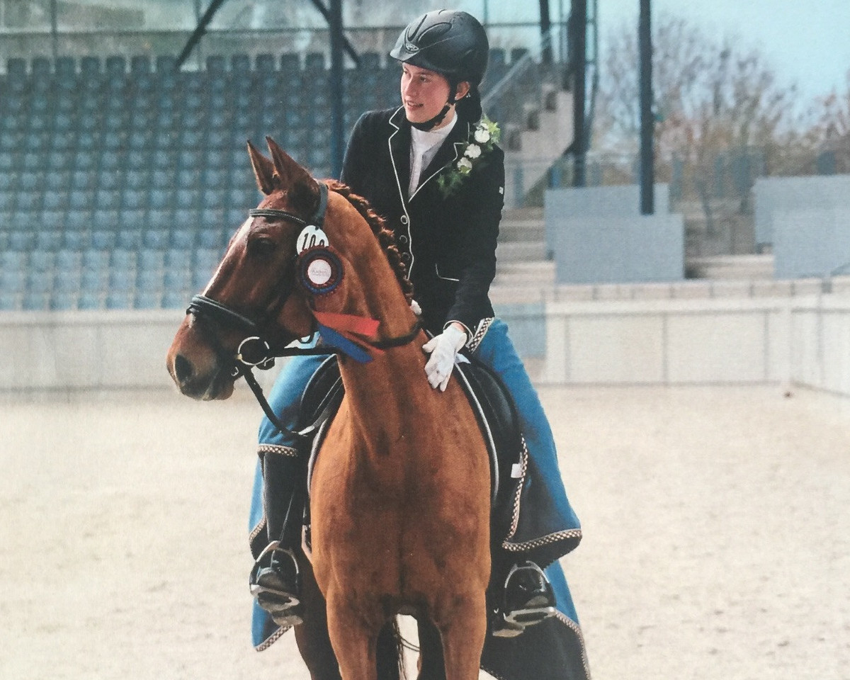 Dressurpferd Gazelle AS (Rheinländer, 2008, von Goethe)