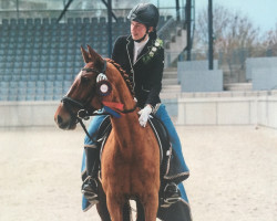 dressage horse Gazelle AS (Rhinelander, 2008, from Goethe)