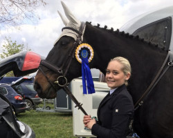 jumper Grote Smurf (KWPN (Royal Dutch Sporthorse), 1999, from Frisbee Kerellec)