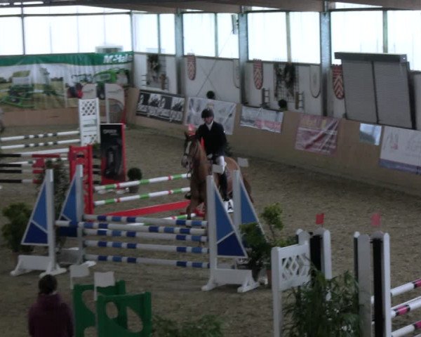 Reitturnier Borgholzhausen-Westbarthausen 2023