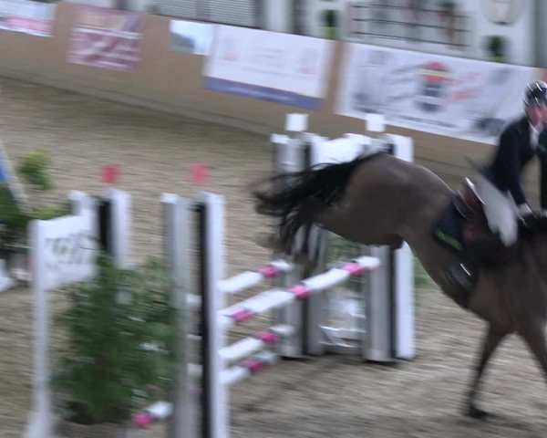 Reitturnier Borgholzhausen-Westbarthausen 2023