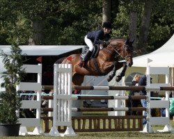 broodmare Atlantic Rain (German Sport Horse, 2004, from Al Cantino (ex: Romario))