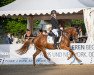 broodmare Strohgirl L (German Riding Pony, 2018, from Double Diamond)