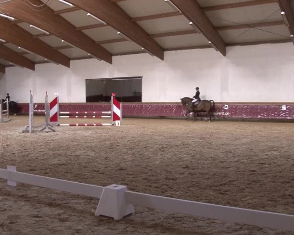 Reitturnier Eicherloh RH Laurent/Obb. 2023